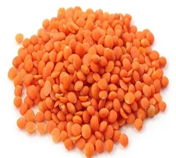Mota Moshur Dal (Lentil Fat)– মোটা মশুর ডাল