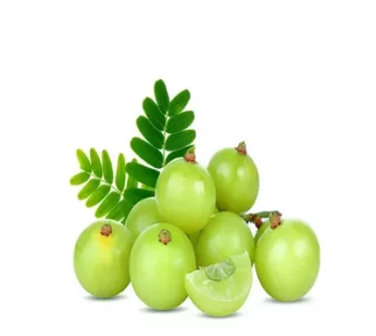 Amloki (Amla)- আমলকি