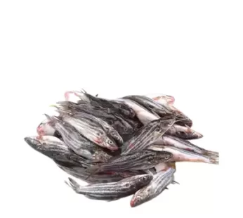Tengra Fish Deshi-দেশি টেংরা মাছ