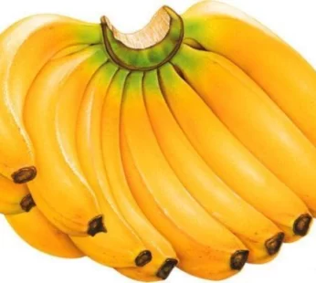 Onupom Banana ( Kola ) – অনুপম কলা