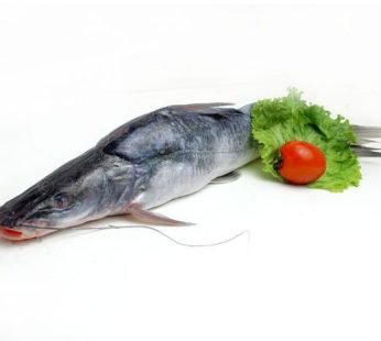 Aair Fish – আইর মাছ